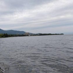 志賀浜での小鮎釣り、魚影は濃いが型は小さめ