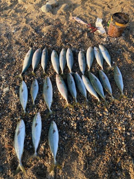 人生初の爆釣果