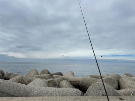 魚津港 フカセ釣り