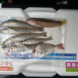 キス釣り、アジ釣り