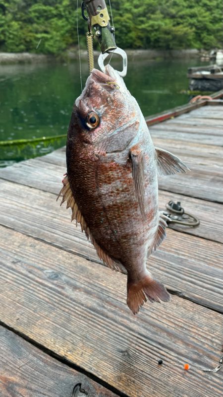 釣り堀　水宝