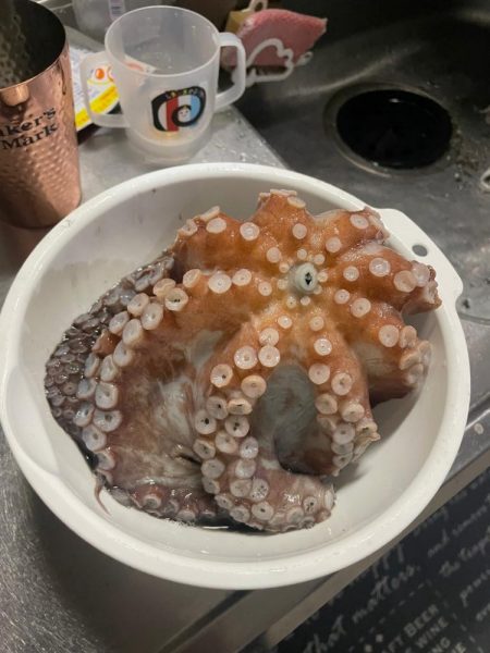 タコタコ🐙