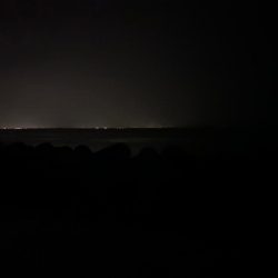 魚津港 夜釣りフカセ
