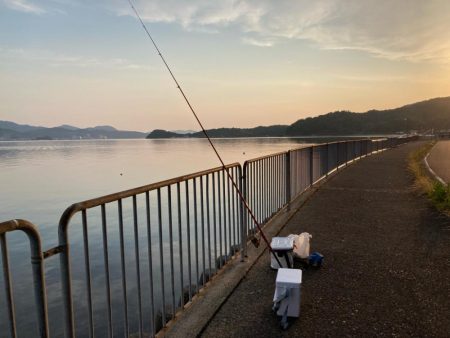 京都府宮津へキス釣り