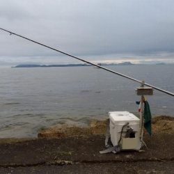 苅屋海岸のキス釣り