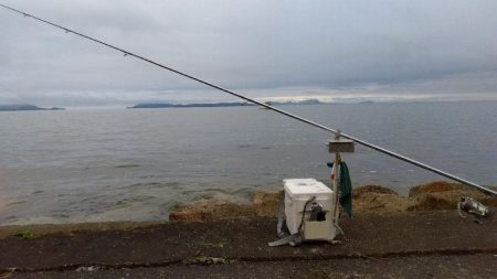 苅屋海岸のキス釣り