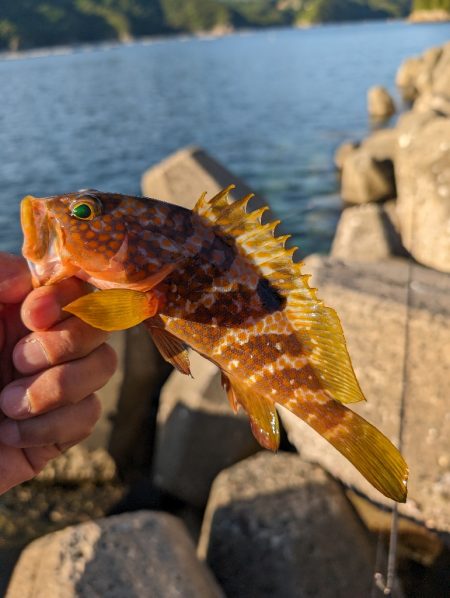 陸っぱり釣行記