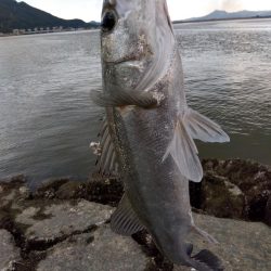 この1匹が釣れるまで何か月を費やしたか…