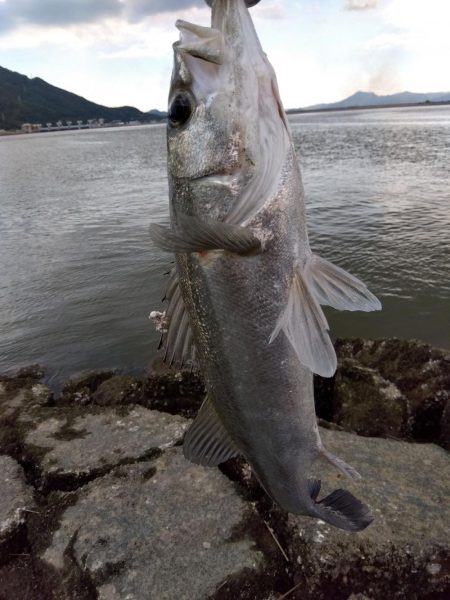 この1匹が釣れるまで何か月を費やしたか…