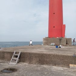 キス釣りビギナーです