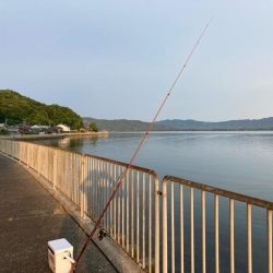 京都府宮津へキス釣り