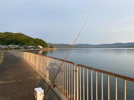 京都府宮津へキス釣り