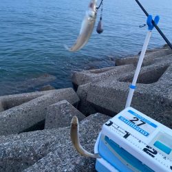 シロギスタの逃した魚は…