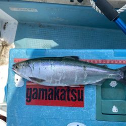 ヒメマス釣り