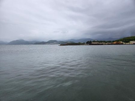 雨の合間に