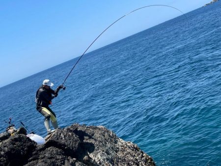 沖磯　梅雨グレ釣り