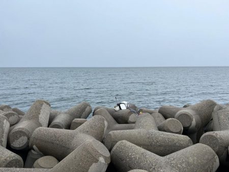 魚津港 フカセ釣り