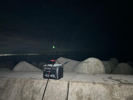 魚津港フカセ夜釣り