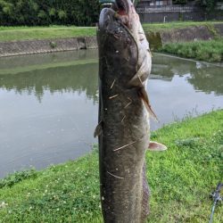 雨後は確変