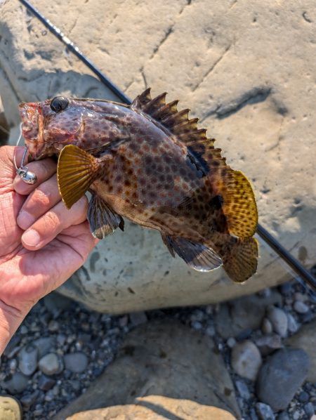 陸っぱり釣行記