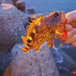 穴釣りデビュー