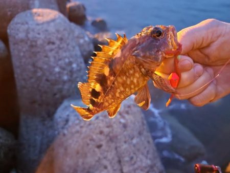 穴釣りデビュー