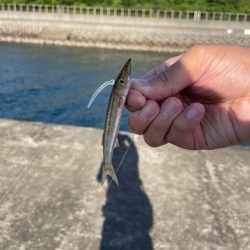 川でダメ、でフロートポイントへ