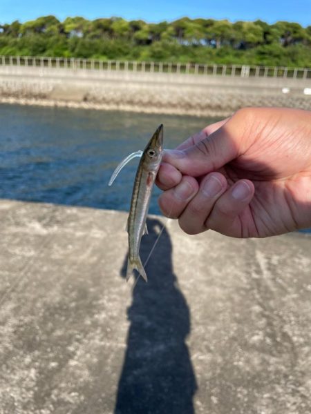 川でダメ、でフロートポイントへ