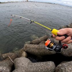 穴釣りデビュー