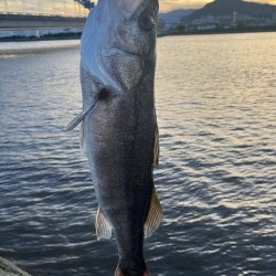 河口でチニングしてたらスズキ