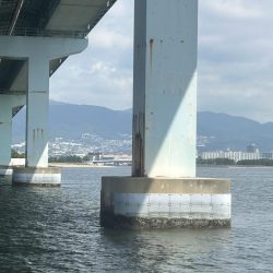 導流堤渋いなりに〜橋脚遊び