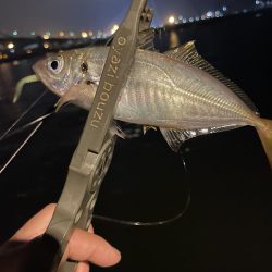 アジ釣り