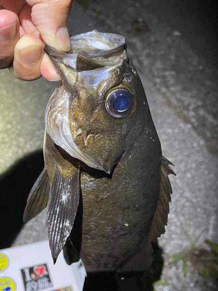 川でダメ、でフロートポイントへ