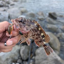 陸っぱり釣行記