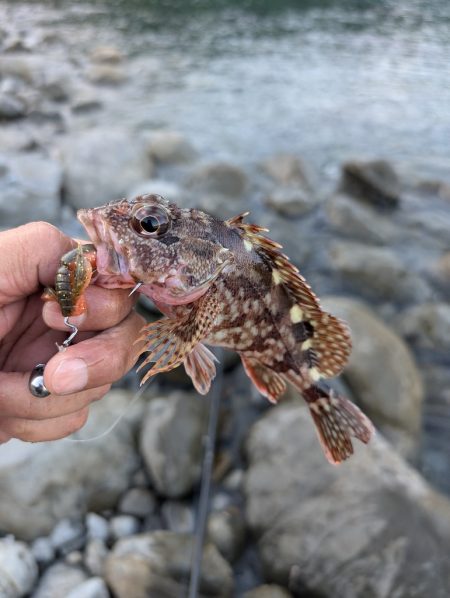 陸っぱり釣行記