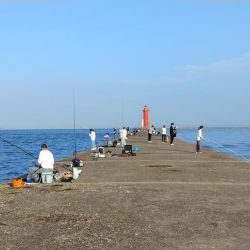 播磨新島のキス情報