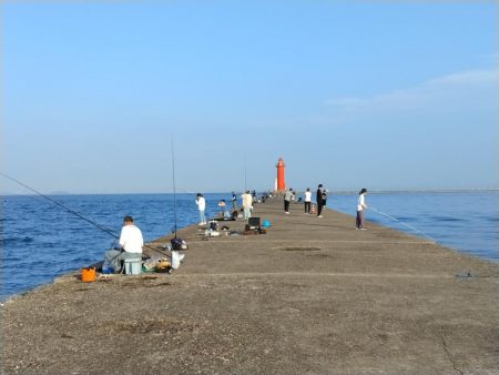 播磨新島のキス情報