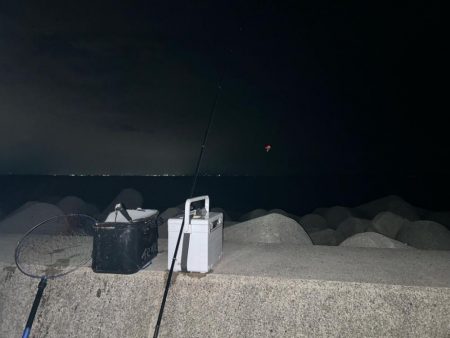 魚津港 フカセ夜釣り