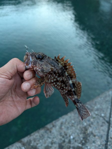 陸っぱり釣行記