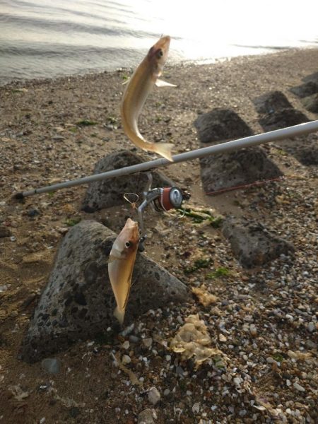 遠投キス釣り