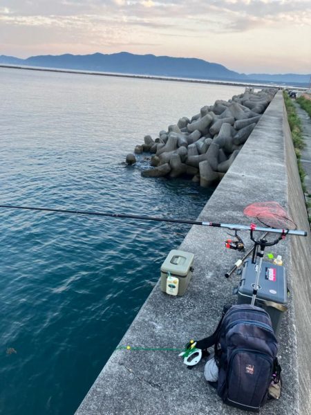 エビ撒き釣りでヒラスズキ