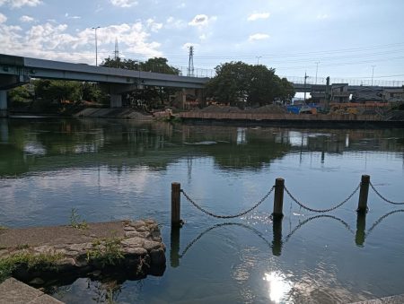 久しぶりのタナゴ釣り