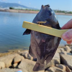 子供の夏休み