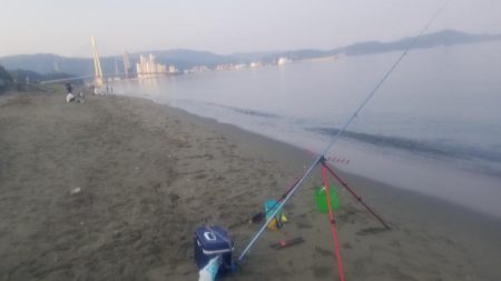 浜の宮ビーチとマリーナシティ大波止