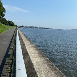 東京湾ハゼ釣り