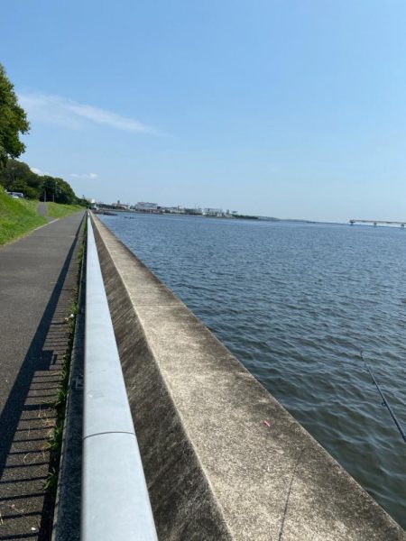 東京湾ハゼ釣り