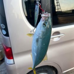 初魚種ゲット