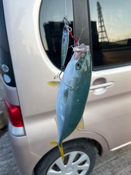 初魚種ゲット