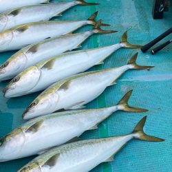 待ちに待ったカセ釣りへ🎣