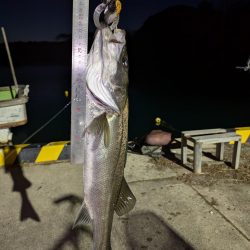 隠岐の島釣行2